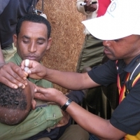 Polio drop in Ethiopia. (Photo courtesy of Jhpiego.) Polio drop in Ethiopia. (Photo courtesy of Jhpiego.)